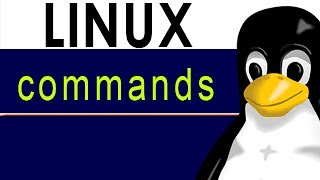 Linux commands info Finding out information about commands using info command [upl. by Orland160]