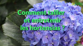 Comment TAILLER et ENTRETENIR les HORTENSIAS 🌸Rajeunir nettoyer rabattre amender pailler [upl. by Inoliel59]