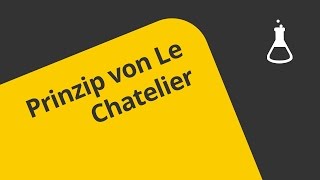 Prinzip von Le Chatelier Prinzip des kleinsten Zwanges  Chemie [upl. by Partridge]