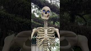 Skelly the 12’ Skeleton from Home Depot [upl. by Suirradal775]