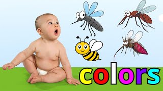 Learn Colors with Insects 🦟 Colors for Kids [upl. by Oika162]