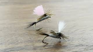 Early Season Trout Dry Flies  Chris Dore [upl. by Smoot]