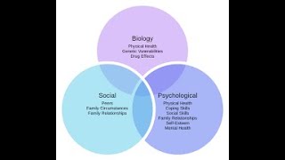 Biopsychosocial Model [upl. by Philine]