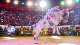 Â¡Â¡REVANCHA Gallito vs Lluvia De Rancho La Mision En Autlan Jalisco 2016 [upl. by Keiryt]