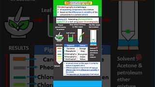 SPM BIOLOGY FORM 5 Chapter 2 24 Important experiment on photosynthetic pigments [upl. by Durward868]