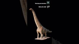 Alamosaurus walkcycle educational blender3d paleontology blender 3danimation shorts [upl. by Attenad831]