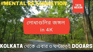 Lodhasuli Jungle  Lodhasuli Forest Bungalow  লোধাশুলি জঙ্গল  Jhargram  Tata Nexon Road Trip [upl. by Nelie]