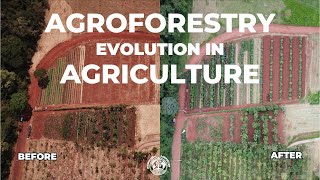 Agroforestry is true sustainability for agriculture [upl. by Oirelav]