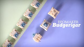 Epomaker Budgerigar Switches  Detailed Review and Sound Test [upl. by Eerhs]