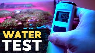 How I test reef tank water 45g  12162018 [upl. by Hay]