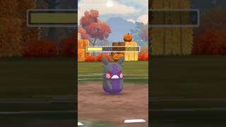 When I used Morpeko in battle with form change 😳 Pokemon go [upl. by Aiksas381]