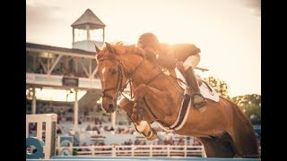 Birds  Equestrian Motivational Music Video [upl. by O'Carroll654]