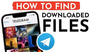 How to Find Downloaded Media Files on Telegram App on iPhone I How To Check Downloads on Telegram [upl. by Mayfield]