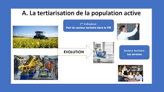 Comment est structurée la société française les évolutions de la population active 34 [upl. by Kemeny95]