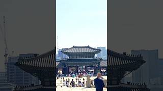 Seoul Walking Gyeongbokgung Palace view seoulmysoul 서울마이소울 [upl. by Iror981]