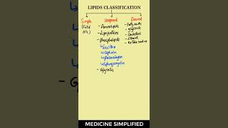 Lipids Classification  Classification of Lipids  Lipids biochemistry medicine [upl. by Cecelia]