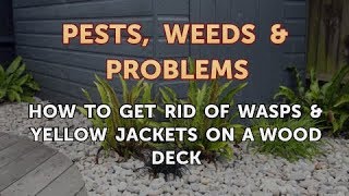 How to Get Rid of Wasps amp Yellow Jackets on a Wood Deck [upl. by Waldon46]