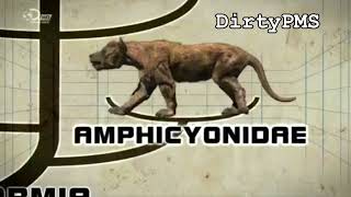 Amphicyonidae  Broken Preview [upl. by Leima]