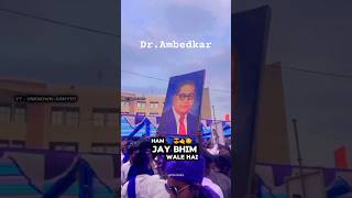 Jay bhim wale  Dr Ambedkar new whatsApp status 😌💙HD status status drambedkar shorts [upl. by Randolph]