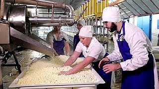 How Cheese is ACTUALLY Made  Inside a Cheese Factory [upl. by Nerret799]