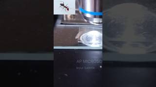 AP MICROSCOPE 52microscope microccopvideohowtomicroscopvideo [upl. by Gilliam]