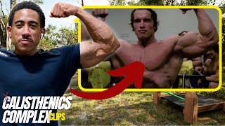 Get Arnold Schwarzeneggers Physique with Calisthenics [upl. by Lertram327]