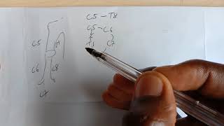 Easy Trick Upper Limb Dermatomes [upl. by Aicat]