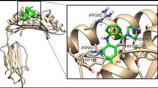 Clozapine induced Agranulocytosis [upl. by Ann-Marie458]