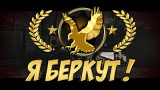 Я БЕРКУТ CSGO  МОНТАЖ  ГАВЕР И ЛАЙКЕР [upl. by Odlo]