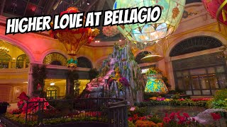 Bellagio Conservatory Summer 2024 Higher Love Display [upl. by Auhsoj]