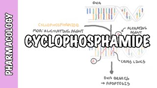 Cyclophosphamide  pharmacology mechanism of action adverse effects [upl. by Nwahsat111]