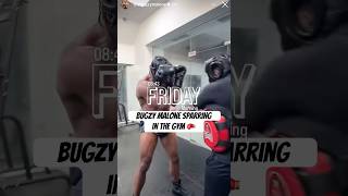 Bugzy Malone In The Gym Sparring 🥊 BugzyMalone Shorts [upl. by Baron]