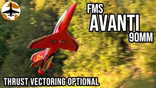 Thrust Vectored Awesomeness  FMS Avanti 90mm EDF Jet Review [upl. by Eneryc519]