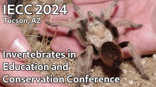 IECC 2024  Invertebrates in Education and Conservation Conference [upl. by Child206]