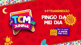 🔴 AO VIVO Pingo da Mei Dia 2024  TCM Junina [upl. by Eislehc487]