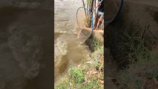 Action to fish 💯🔥🤪🤪 fishing rbcc baliq move hindamove music remix beats [upl. by Evod17]