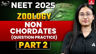 Non Chordates Class 11 Question Practice  NEET 2025  Prarambh Series  Bharti Singh Part 2 [upl. by Onairpic]