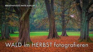 Wald im Herbst fotografieren [upl. by Teirrah736]