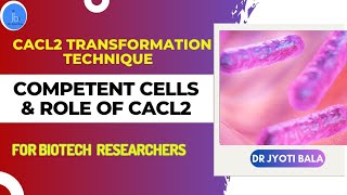 Competent Cells CaCl2 Transformation Technique Role of CaCl2 in Competent Cells Preparation [upl. by Enyallij]