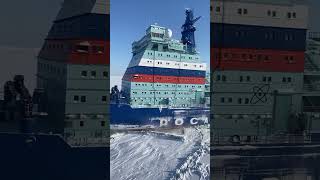 An Actual Icebreaker [upl. by Raybourne]