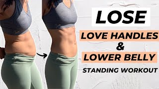 10 MIN LOVE HANDLES AND LOWER BELLY FAT WORKOUT Standing Only  No Equipment [upl. by Chrisse]