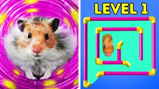 I Built a Trickiest Maze for a HAMSTER  Rainbow Friends Style 🐹 [upl. by Mahtal546]