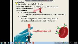 Autoimmune hemolytic anemia gold and warm 9 المحاضرة [upl. by Flower59]