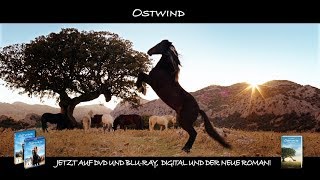 Ostwind Official Trailer deutsch HD [upl. by Neelyhtak]