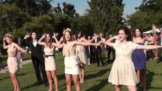 flashmob mariage [upl. by Raymonds462]