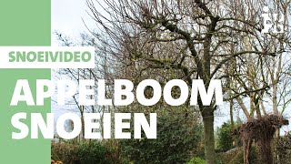 Intratuin  Appelboom snoeien [upl. by Ramburt]