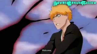 Bleach 363  Ichigo Vs ginjou HD [upl. by Nevag12]