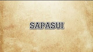 SAMOAN KARAOKE LYRICS SAPASUI BY PENINA O LE TIAFAU [upl. by Nylaroc151]