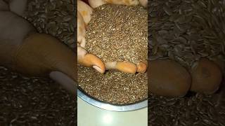 Uses of flax seeds🌹🌹🌹20000 views short [upl. by Avla]