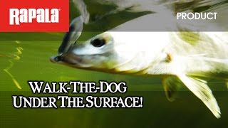 Walkthedog under the surface with The Rapala® XRap® Saltwater Subwalk™ [upl. by Artemahs]